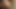 Manuela Albertini & Yasmin Briza piss on Sub Lony mouth