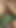 Tease to start