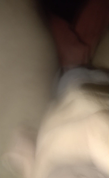 Honění