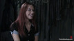 Pratonton Video