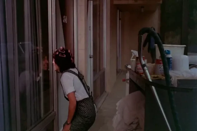 Velvet High (1981)