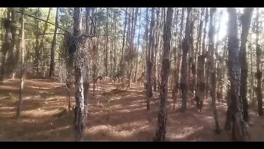 Turis yang tersesat di hutan dipaksa sama penyihir untuk menghindari kutukan!! Halloween