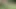 Huge cumshot on the river after a hot fuck with orgasm