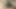 small tiny cock foreskin play, pumping, precum and cumming 2 times
