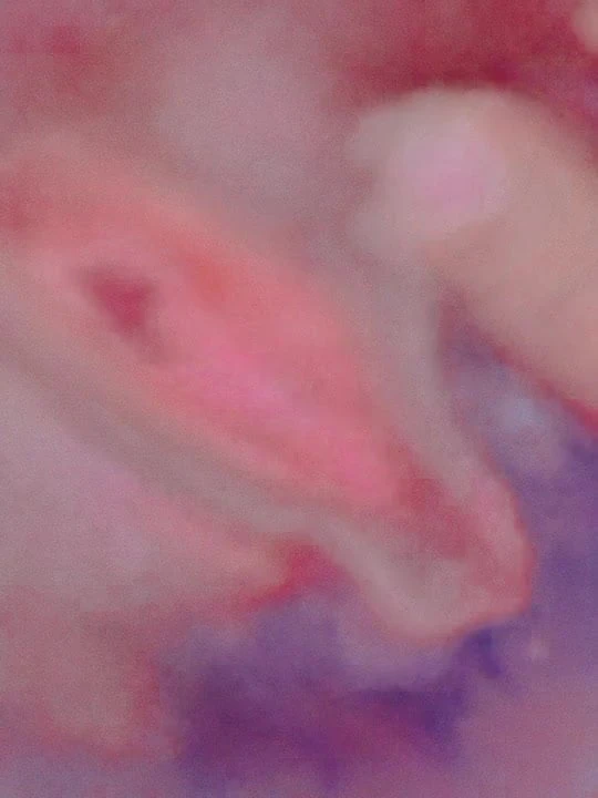 Wife slut