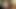 German netherland chubby girlfriend try porn casting