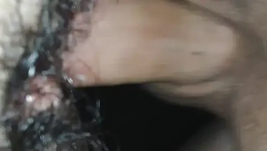 the bull fucking my wife's pussy.