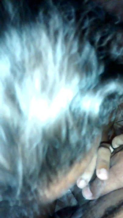 Boquete2