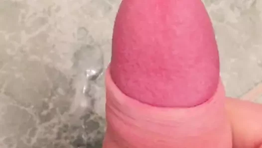 tranny sağladım