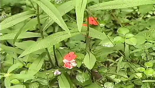 Little Anal Cream Puffs 03 Part 5 – Creamy Desire