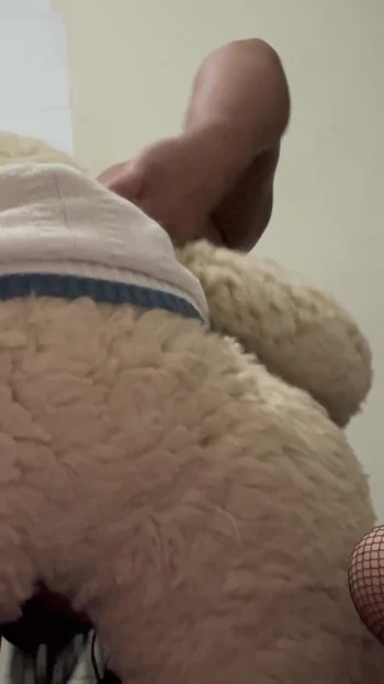 Momento deslumbrante de "Eu fodi meu papai urso"