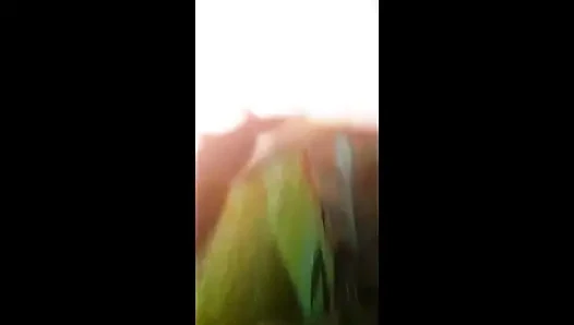 Sarita dorf hasbend ehefrau sex im freien, morgensex-videos