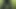 Pissing and cumming in the woods