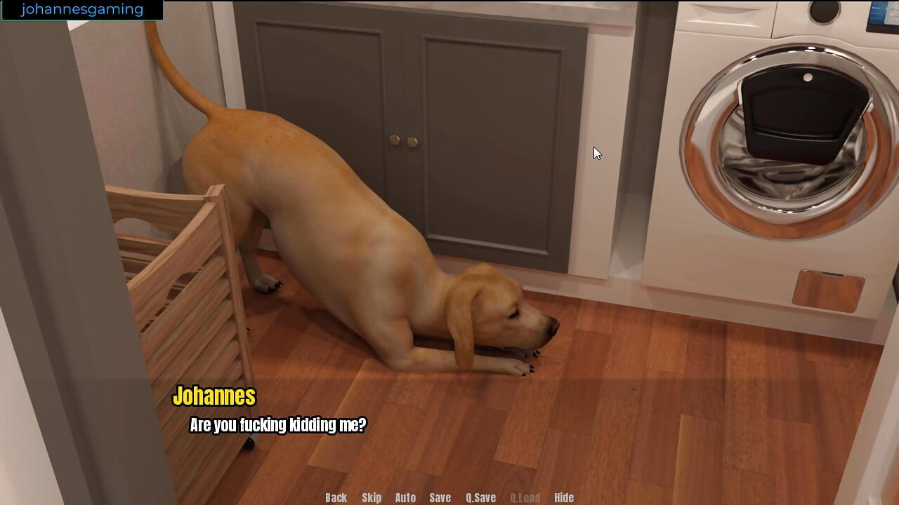 おばあちゃんの家 - 同じ日に猫とサンドラスの猫を食べた