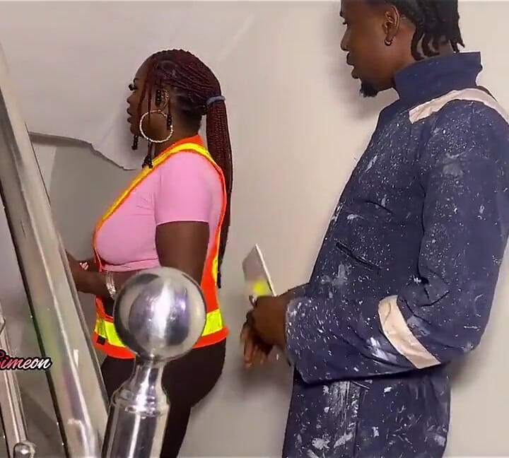 House Painter and the Female Engineer