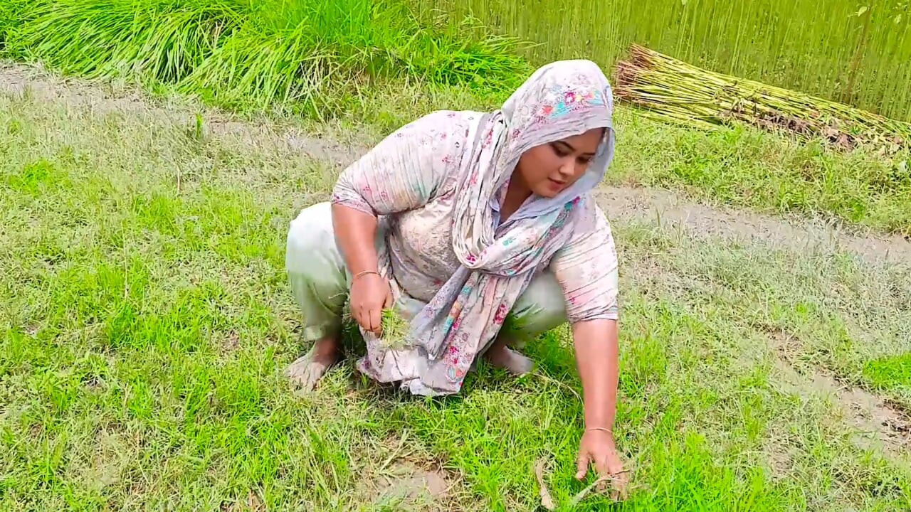 Desi Village Hot Bhabhi Hot Big Ass Sex Enjoy Everyone Xxx video