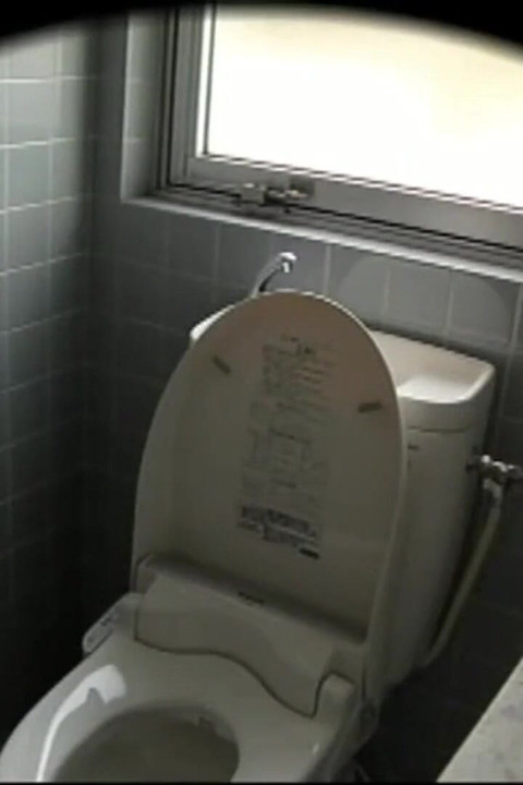Stuck up Older Women - Toilet Masturbation Collection of 25 - Ep 04