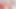 BeautifulPauTS - TS Cam girl tugs away
