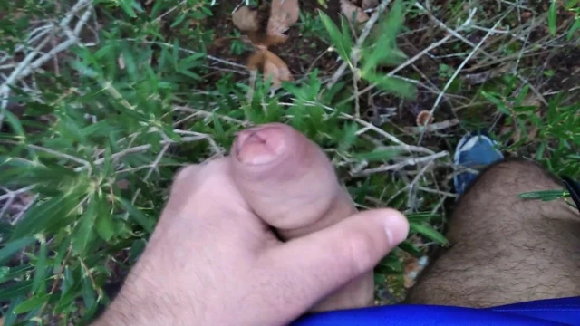 Enjoying in the woods