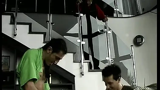 Волосатую тинку из Германии трахнули в обе ее дырки