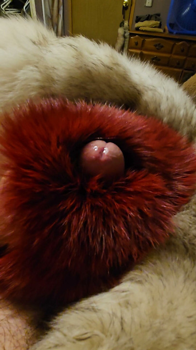 Fox furs make me hard