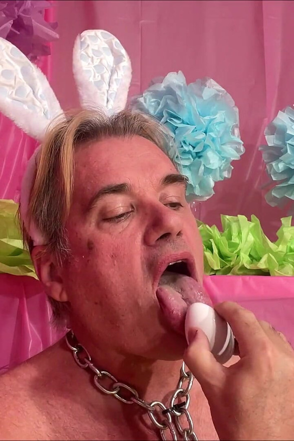 Easter Bunny Lays Its Eggs 1