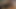 Fildişi logan beyaz yaraklar için tam bir sürtük - zafer deliği