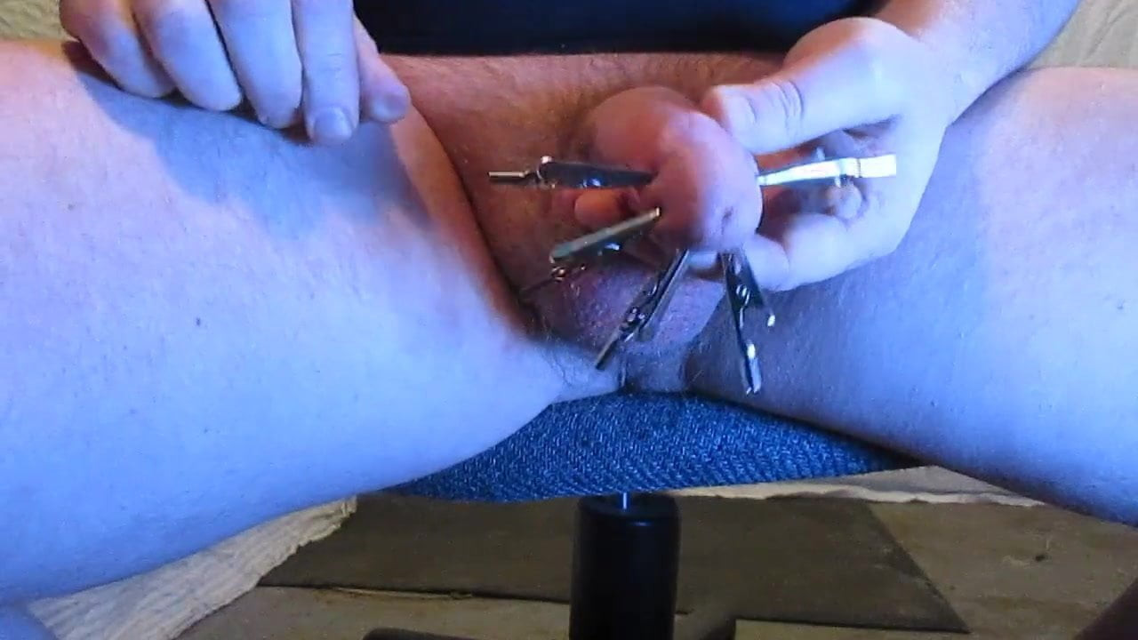 alligator clips 04