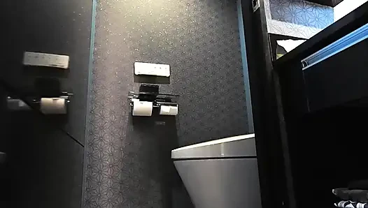 Various toilet scenes