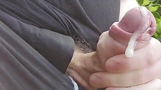 Public park cum