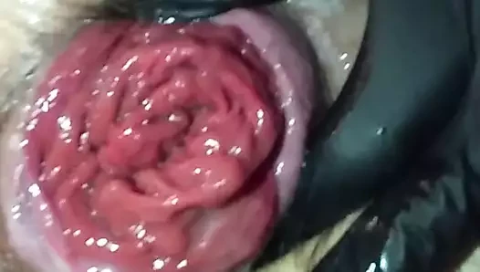gül goncası ve esneme genişletilmiş