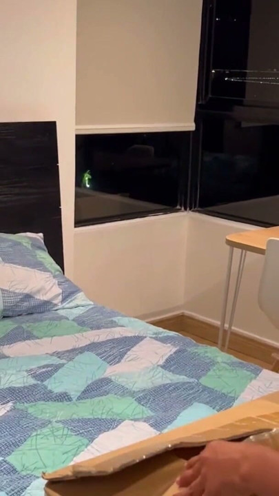 Shemale and two girls fuck a tantaly sex doll | Clip 2