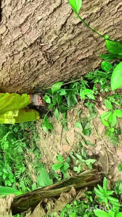 Bengali Boudi debar er sathe jungle e giye sex korlo | Clip 1