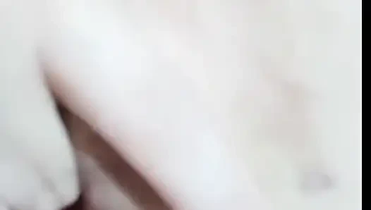 Pussy Becek Endonezya 2026