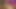 Midget Lesbians 6