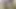 My Dick