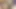 Nepali boy big cock masturbating and sperm.