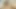 Üvey kız kardeşim o kadar azgın bir sürtük ki yarağıma binmeyi bırakmıyor - porno en español