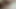 2 Kitten - Trailer