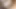 Minik sıska Petra Davis büyük zenci yarağına biniyor