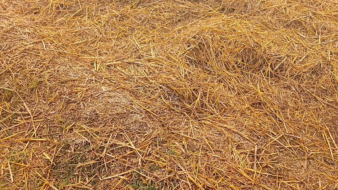 Indian beautiful my wife desi girl sex video porn video XX video hot sexy video