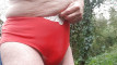 Pregled videozapisa