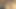 My Wife Masturbated with a Toy, I Put a Doctor's Camera Inside Her Vulva