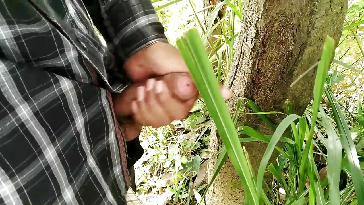 Big Cock Masturbation and Cumshot in Outdoor