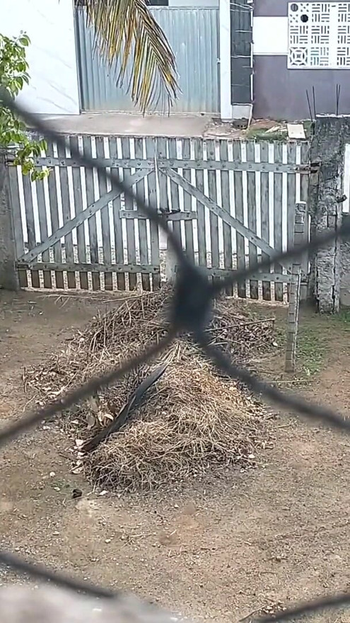 My wife totally naked relaxing in front yard | Clip 1