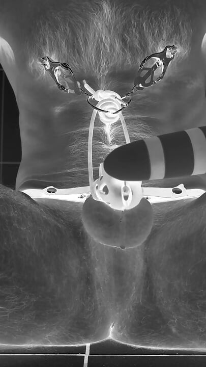 Multiple ruined orgasms in chastity cage with 30cm long penis plug