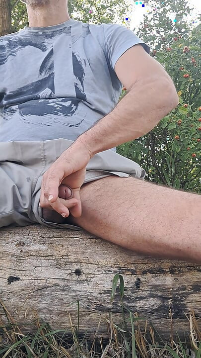 in the park