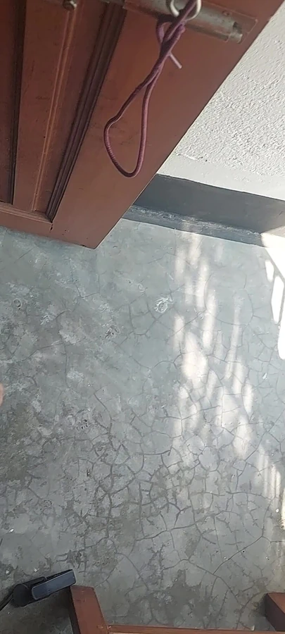 My Cock