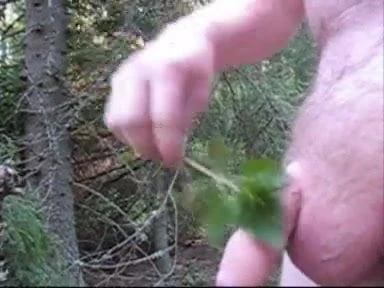 Bylting nettle and sperm