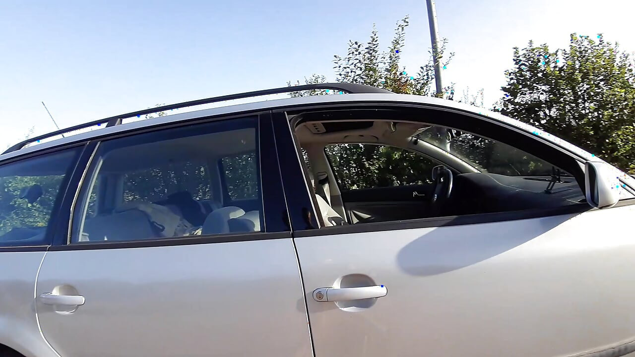 Sunny by the Car